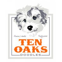 Ten Oaks Doodles