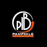 Pamphile Insurance Brokerage LLC