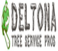 Deltona Tree Service Pros