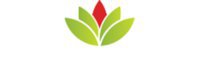 Fillan Healthcare