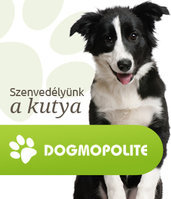 Dogmopolite Kutyapanzió és Kutyanapközi BUDA