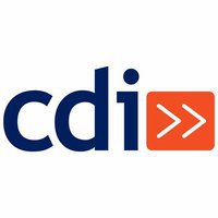 CDI Technology