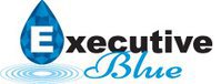 Executive Blue Pools