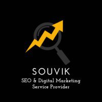 Souvik Mitra Digital Marketing Consultant