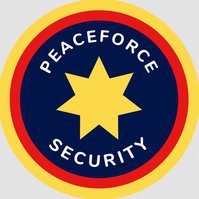 Peaceforce Security Group (Pty) Ltd - Gauteng