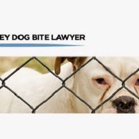 The New Jersey Dog Bite Lawyer - David J. Cowhey