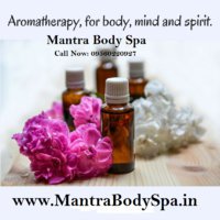 Mantra Body to Body Massage Spa in Malviya Nagar South Delhi