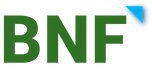 BNF Consulting. Inc.