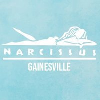 Narcissus Gainesville