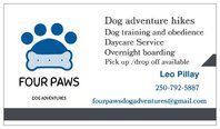 Four Paws Dog Adventures