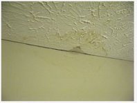 Target Fire and Water Damage Restoration