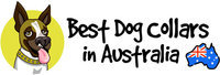 Best Dog Collars in Australia