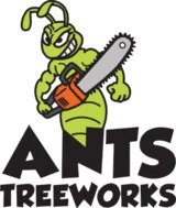 Ants Tree Works