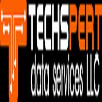 Techspert Data Solutions