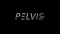 Pelvis NYC - Dr. Adam Gvili PT, DPT