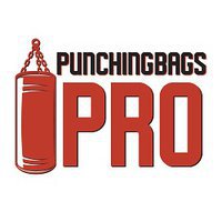 Punching Bags Pro Singapore