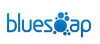 BlueSoap Website Design