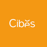 Cibes Lift India Private Limited