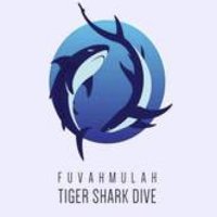 Fuvahmulah Tiger Shark Dive 