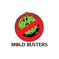Mold Busters Lewisville