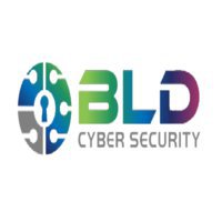 BLD CYBER SECURITY. LTD