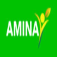 Amina International LLC