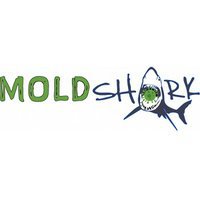 Mold Shark