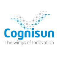Cognisun Infotech Pvt Ltd