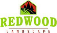Redwood Landscape