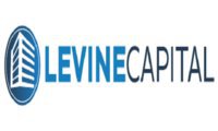 Levine Capital Management, LLC