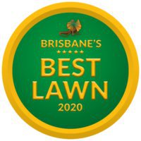 Brisbane’s Best Lawn
