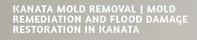 Kanata Mold Removal