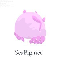 Addicted To Sea Pigs