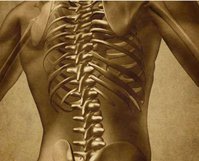 Back Pain Treatment | Dr. Masel