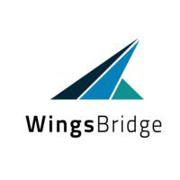 WingsBridge Tworzenie Stron Warszawa
