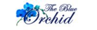 Destination Wedding in Jim corbett - The Blue Orchid