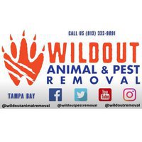 Wildout Animal & Pest Removal Tampa