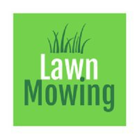 Rodman lawn mowing and care