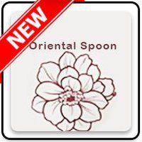  Oriental Spoon