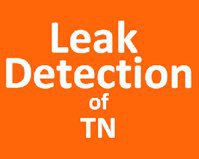 Leak Detection of Tennessee