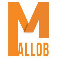 Digital Marketing Services & Web Development Services NC - Mallob