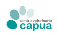 Centro veterinario Capua