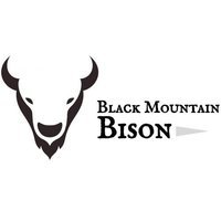 Black Mountain Bison