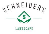 Schneider's Landscape