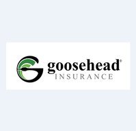 Goosehead Insurance - Erin Carlson