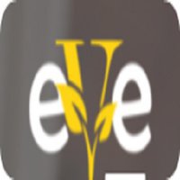Eve Accountants & Business Advisors Ltd