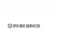 DVS BEE Services