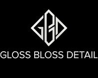 Gloss Boss Detail