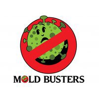 Mold Busters Denton