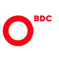 BDC Consulting